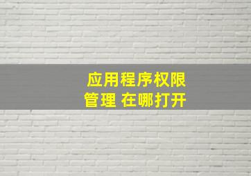 应用程序权限管理 在哪打开